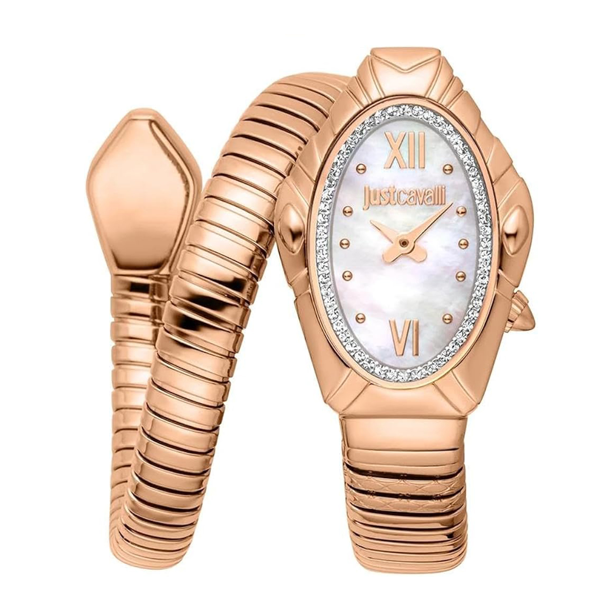 MONTRE JUST CAVALI FEMME SIMPLE ACIER